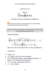Thumbnail for 101 Common Japanese Idioms in Plain English