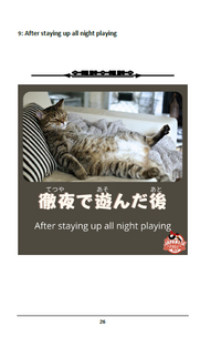 Thumbnail for Learn Japanese through Memes Volume 2 [Paperback]