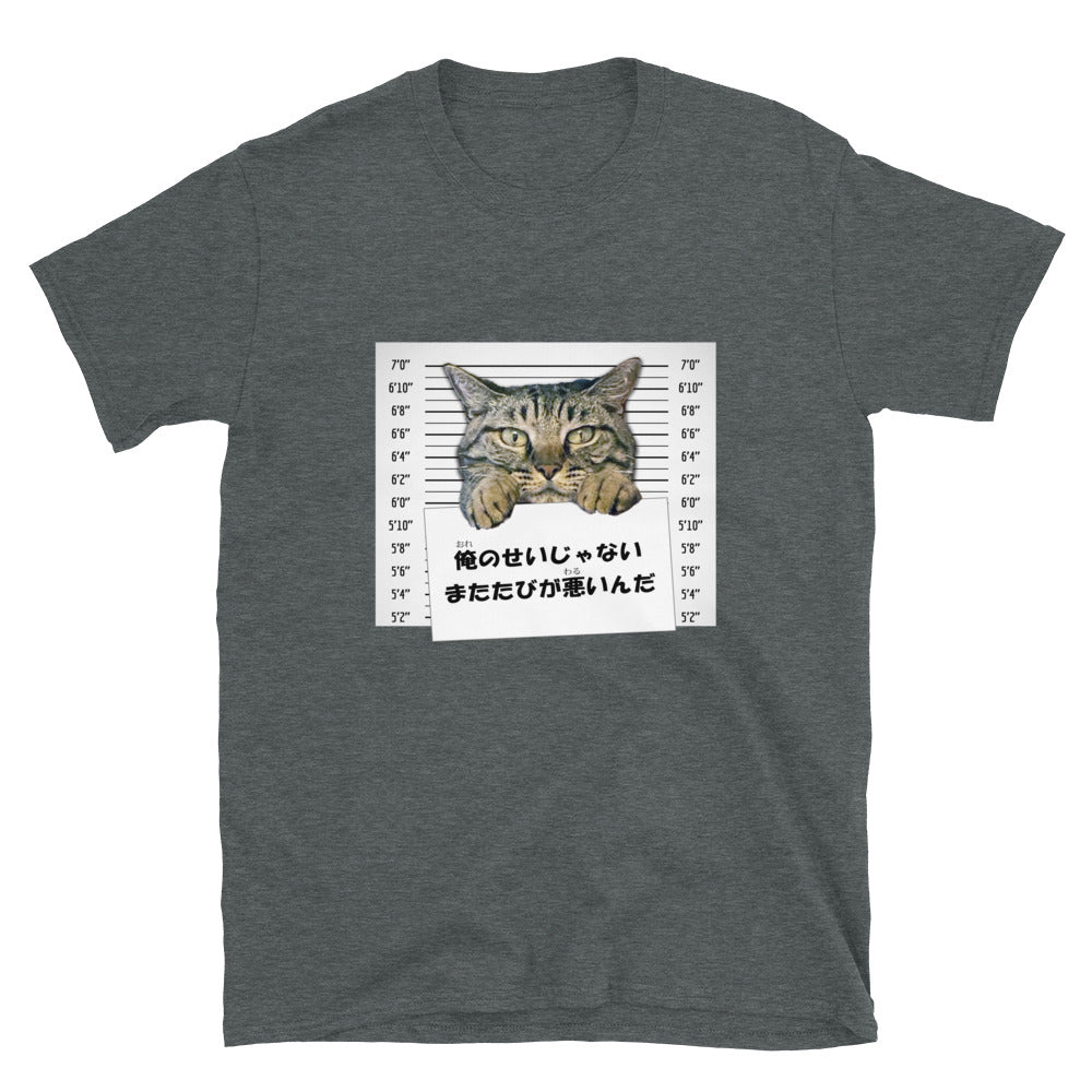 Bad Kitty in Japanese: It was the catnip! Short-Sleeve Unisex T-Shirt