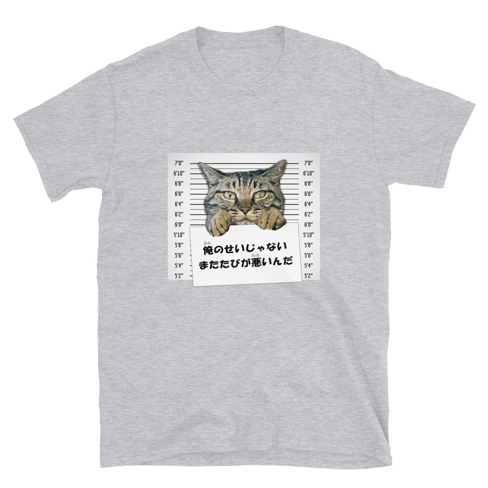 Bad Kitty in Japanese: It was the catnip! Short-Sleeve Unisex T-Shirt