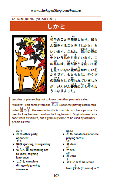 Learn Japanese Vocabulary (10 eBook BUNDLE) [DIGITAL DOWNLOAD]
