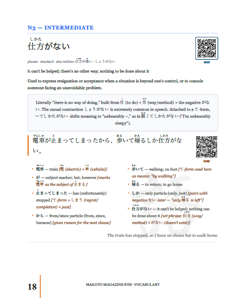 Makoto Magazine #100 - All the Fun Japanese Not Found in Textbooks