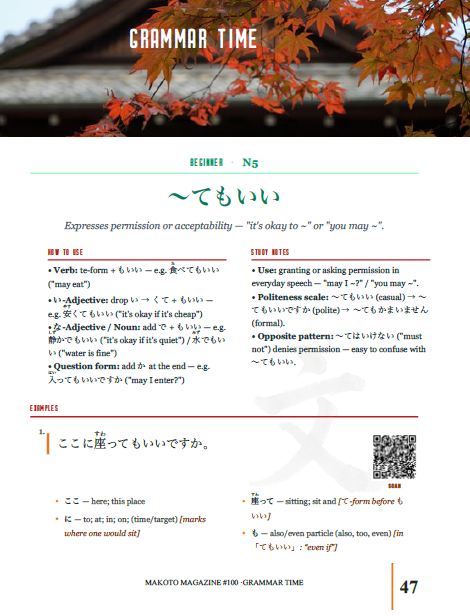 Makoto Magazine #100 - All the Fun Japanese Not Found in Textbooks