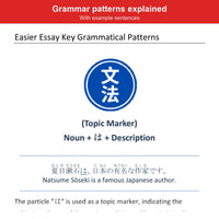 Inside the book: a key grammar pattern with example sentences