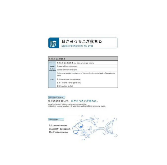 Learn Japanese Vocabulary (10 eBook BUNDLE) [DIGITAL DOWNLOAD]