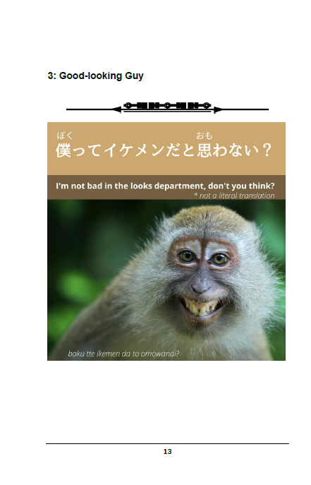 Learn Japanese through Memes [Paperback]
