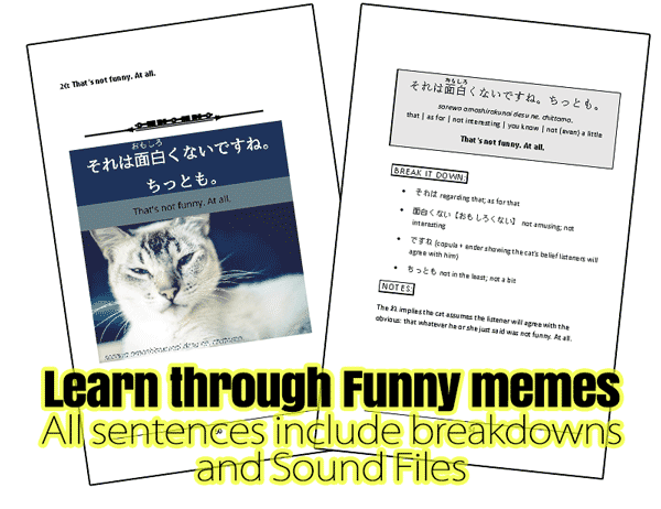 Learn Japanese Vocabulary Booster bundle