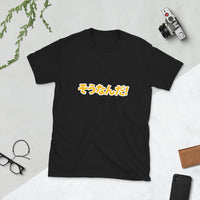 Sou Nan Da in Japanese 