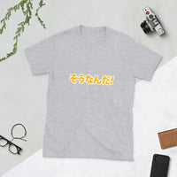 Sou Nan Da in Japanese 