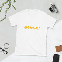 Sou Nan Da in Japanese 