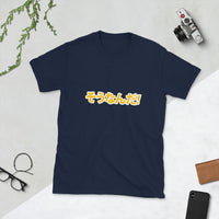 Sou Nan Da in Japanese 